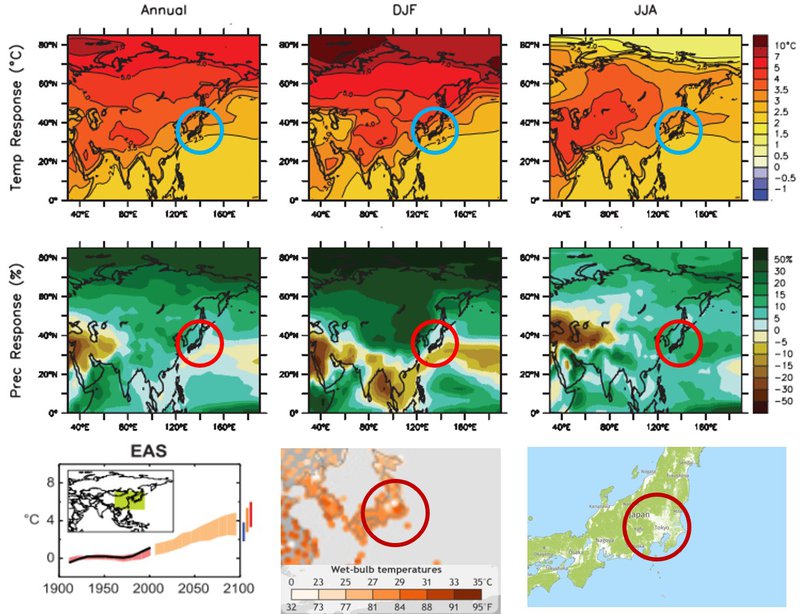 Tokyo climate projections temp effects